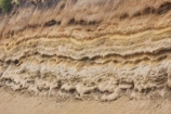 ash-layer;ash-layers;bank;brown;cutting;Desert-Road;dirt;earth;eroded;erruption;erruptions;Geological;geology;ground;horizontal;Mt-Ruapehu;N.I.;N.Z.;New-Zealand;NI;North-Is.;North-Island;NZ;seam;soil-layer;soil-layers;soil-profile;soil-profiles;strata;stratum;texture;volcanic;volcanic-ash-layer;volcanic-ash-layers;volcanic-deposits;volcanic-layer;Volcanic-Layers;volcanic-soil;volcanic-soil-layer;volcanic-soil-layers;volcanic-soils;volcano;volcanoes