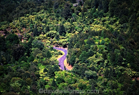 aerials;bush;bushland;flora;forest;forestry;forests;mountain;native;natural;nature;road