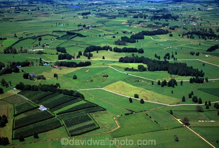 agriculture;farm;farms;fence;fenceline;fences;field;fields;grass;green;hedgerow;hedgerows;lush;meadow;meadows;paddock;paddocks;pasture;pastures;plain;plains;rural;spring;verdant