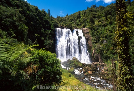 brook;calm;calmness;fern;forest;green;native-bush;natural;nature;stream;water;water-falls;waterfall;waterfalls