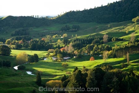 agricultural;agriculture;autuminal;autumn;autumn-colour;autumn-colours;autumnal;color;colors;colour;colours;country;countryside;deciduous;fall;farm;farming;farmland;farms;field;fields;green;King-Country;leaf;leaves;Mapara-Stream;meadow;meadows;N.I.;N.Z.;New-Zealand;NI;North-Island;NZ;paddock;paddocks;pasture;pastures;rural;season;seasonal;seasons;Te-Kuiti;tree;trees;Waikato-Region