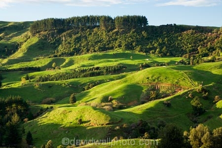 agricultural;agriculture;country;countryside;farm;farming;farmland;farms;field;fields;green;King-Country;Mapara-Stream;meadow;meadows;N.I.;N.Z.;New-Zealand;NI;North-Island;NZ;paddock;paddocks;pasture;pastures;rural;Te-Kuiti;Waikato-Region
