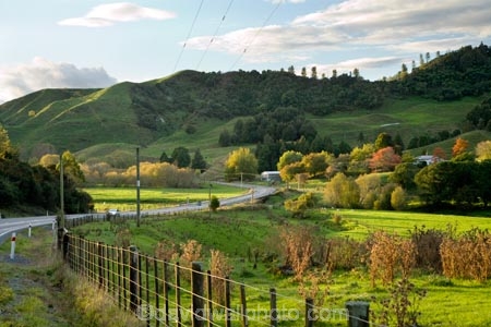 agricultural;agriculture;autuminal;autumn;autumn-colour;autumn-colours;autumnal;bend;bends;color;colors;colour;colours;corner;corners;country;countryside;deciduous;driving;fall;farm;farming;farmland;farms;fecnes;fence;fence-line;fence-lines;fenceline;fencelines;field;fields;green;highway;highways;King-Country;leaf;leaves;Mapara-Stream;meadow;meadows;N.I.;N.Z.;New-Zealand;NI;North-Island;NZ;open-road;open-roads;paddock;paddocks;pasture;pastures;road;road-trip;roads;rural;season;seasonal;seasons;straight;Te-Kuiti;transport;transportation;travel;traveling;travelling;tree;trees;trip;Waikato-Region