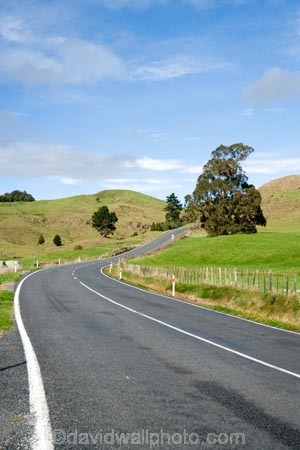 agricultural;agriculture;bend;bends;centre-line;centre-lines;centre_line;centre_lines;centreline;centrelines;corner;corners;country;countryside;driving;farm;farming;Farmland;farms;field;fields;King-Country;Kopaki;meadow;meadows;N.I.;N.Z.;New-Zealand;NI;North-Island;NZ;open-road;open-roads;paddock;paddocks;pasture;pastures;Road;road-trip;roads;rural;transport;transportation;travel;traveling;travelling;trip