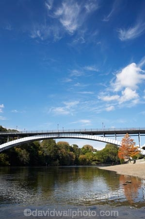 autuminal;autumn;autumn-colour;autumn-colours;autumnal;bridge;bridges;color;colors;colour;colours;deciduous;fall;Hamilton;leaf;leaves;N.I.;N.Z.;New-Zealand;NI;North-Island;NZ;river;rivers;season;seasonal;seasons;tree;trees;Victoria-Bridge;Waikato;Waikato-River