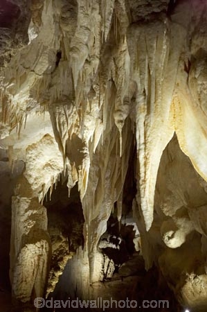 cave;cavern;caverns;caves;caving;geographic;geographical;geography;geological-feature;geological-features;geological-formation;geological-formations;King-Country;limestone-cave;limestone-caves;N.I.;N.Z.;nature;New-Zealand;NI;North-Island;NZ;potholing;Ruakuri-Cave;Ruakuri-Caves;spelunk;spelunking;stalactite;stalactites;stalagmite;stalagmites;tourism;travel;under-ground;under_ground;underground;Waikato;Waitomo;Waitomo-Cave;Waitomo-Caves