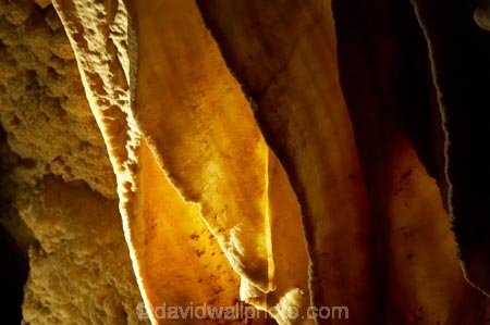 cave;cavern;caverns;caves;caving;geographic;geographical;geography;geological-feature;geological-features;geological-formation;geological-formations;King-Country;limestone-cave;limestone-caves;N.I.;N.Z.;nature;New-Zealand;NI;North-Island;NZ;potholing;Ruakuri-Cave;Ruakuri-Caves;spelunk;spelunking;stalactite;stalactites;stalagmite;stalagmites;tourism;travel;under-ground;under_ground;underground;Waikato;Waitomo;Waitomo-Cave;Waitomo-Caves