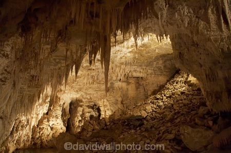 cave;cavern;caverns;caves;caving;geographic;geographical;geography;geological-feature;geological-features;geological-formation;geological-formations;King-Country;limestone-cave;limestone-caves;N.I.;N.Z.;nature;New-Zealand;NI;North-Island;NZ;potholing;Ruakuri-Cave;Ruakuri-Caves;spelunk;spelunking;stalactite;stalactites;stalagmite;stalagmites;tourism;travel;under-ground;under_ground;underground;Waikato;Waitomo;Waitomo-Cave;Waitomo-Caves