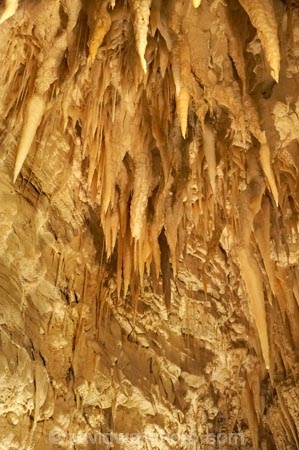 cave;cavern;caverns;caves;caving;geographic;geographical;geography;geological-feature;geological-features;geological-formation;geological-formations;King-Country;limestone-cave;limestone-caves;N.I.;N.Z.;nature;New-Zealand;NI;North-Island;NZ;potholing;Ruakuri-Cave;Ruakuri-Caves;spelunk;spelunking;stalactite;stalactites;stalagmite;stalagmites;tourism;travel;under-ground;under_ground;underground;Waikato;Waitomo;Waitomo-Cave;Waitomo-Caves