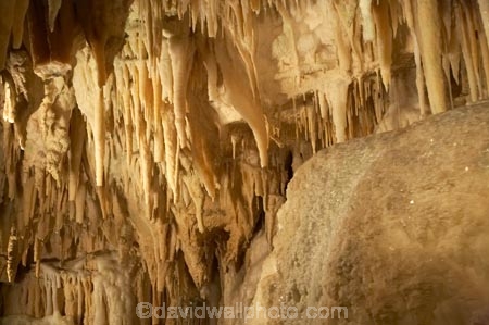 Aranui-Cave;Aranui-Caves;cave;cavern;caverns;caves;caving;geographic;geographical;geography;geological-feature;geological-features;geological-formation;geological-formations;King-Country;limestone-cave;limestone-caves;N.I.;N.Z.;nature;New-Zealand;NI;North-Island;NZ;potholing;spelunk;spelunking;stalactite;stalactites;stalagmite;stalagmites;tourism;travel;under-ground;under_ground;underground;Waikato;Waitomo;Waitomo-Cave;Waitomo-Caves
