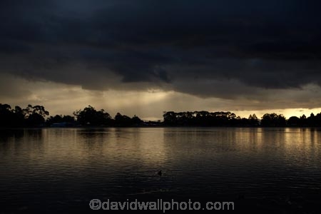 approaching-storm;approaching-storms;black-cloud;black-clouds;calm;cloud;clouds;cloudy;dark-cloud;dark-clouds;dusk;evening;gray-cloud;gray-clouds;grey-cloud;grey-clouds;Hamilton-Lake;Hamilton-Lake-Domain;lake;Lake-Domain-Reserve;Lake-Hamilton;Lake-Rotoroa;lakes;N.Z.;New-Zealand;night;night_time;nightfall;North-Is;North-Island;Nth-Is;NZ;placid;quiet;rain-cloud;rain-clouds;rain-storm;rain-storms;reflected;reflection;reflections;serene;smooth;still;storm;storm-cloud;storm-clouds;storms;sunset;sunsets;thunder-storm;thunder-storms;thunderstorm;thunderstorms;tranquil;twilight;Waikato;water;weather