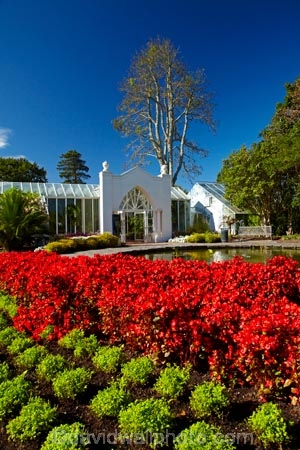 botanic-garden;botanic-gardens;botanical-garden;botanical-gardens;flower;flower-bed;flower-beds;flower-garden;flower-gardens;flowers;fountain;fountains;garden;gardens;Hamilton-Garden;Hamilton-Gardens;N.Z.;New-Zealand;North-Is;North-Island;Nth-Is;NZ;pond;ponds;public-garden;public-gardens;red;red-flower;red-flowers;Victorian-Flower-Garden;Victorian-Flower-Gardens;Victorian-Garden-Conservatory;Waikato;water-feature;water-features