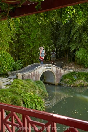 bamboo;botanic-garden;botanic-gardens;botanical-garden;botanical-gardens;bridge;bridges;calm;Chinese-Scholars-Garden;Chinese-Scholars-Gardens;Chinese-Scholars-Garden;Chinese-Scholars-Gardens;foot-bridge;foot-bridges;footbridge;footbridges;garden;gardens;Hamilton-Garden;Hamilton-Gardens;N.Z.;New-Zealand;North-Is;North-Island;Nth-Is;NZ;Paradise-Collection;Paradise-Garden-Collection;pedestrian-bridge;pedestrian-bridges;placid;pond;ponds;public-garden;public-gardens;quiet;reflected;reflection;reflections;serene;smooth;still;tranquil;Waikato;water;water-feature;water-features