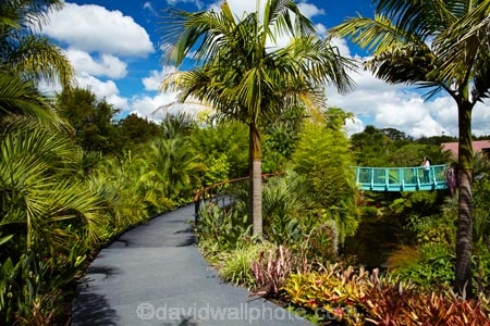 botanic-garden;botanic-gardens;botanical-garden;botanical-gardens;bridge;bridges;Fantasy-Collection;Fantasy-Garden-Collection;foot-bridge;foot-bridges;footbridge;footbridges;garden;gardens;Hamilton-Garden;Hamilton-Gardens;N.Z.;New-Zealand;North-Is;North-Island;Nth-Is;NZ;pedestrian-bridge;pedestrian-bridges;public-garden;public-gardens;Tropical-Garden;Waikato