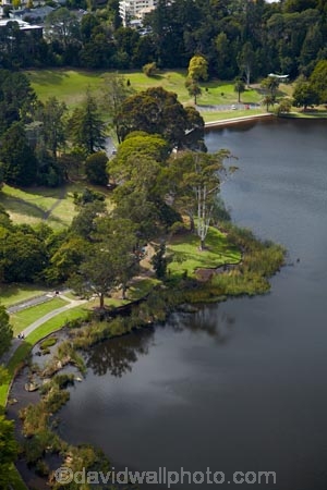 aerial;aerial-image;aerial-images;aerial-photo;aerial-photograph;aerial-photographs;aerial-photography;aerial-photos;aerial-view;aerial-views;aerials;domain;domains;Hamilton;Hamilton-Lake;Hamilton-Lake-Domain;lake;Lake-Domain-Reserve;Lake-Hamilton;Lake-Rotoroa;lakes;N.Z.;New-Zealand;North-Is;North-Island;Nth-Is;NZ;park;parks;reserve;reserves;Waikato