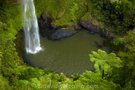Bridal-Veil-Fall;Bridal-Veil-Falls;Bridalveil-Fall;Bridalveil-Falls;cascade;cascades;fall;falls;green;lush;N.Z.;natural;nature;New-Zealand;North-Is;North-Island;Nth-Is;NZ;Pakoka-River;scene;scenic;Waikato;Waireinga;water;water-fall;water-falls;waterfall;waterfalls;wet