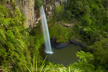 Bridal-Veil-Fall;Bridal-Veil-Falls;Bridalveil-Fall;Bridalveil-Falls;cascade;cascades;fall;falls;green;lush;N.Z.;natural;nature;New-Zealand;North-Is;North-Island;Nth-Is;NZ;Pakoka-River;scene;scenic;Waikato;Waireinga;water;water-fall;water-falls;waterfall;waterfalls;wet