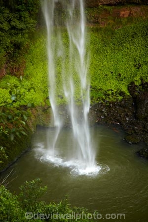 Bridal-Veil-Fall;Bridal-Veil-Falls;Bridalveil-Fall;Bridalveil-Falls;cascade;cascades;fall;falls;green;lush;N.Z.;natural;nature;New-Zealand;North-Is;North-Island;Nth-Is;NZ;Pakoka-River;scene;scenic;Waikato;Waireinga;water;water-fall;water-falls;waterfall;waterfalls;wet