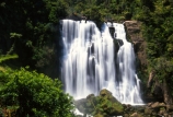 brook;calm;calmness;fern;forest;green;native-bush;natural;nature;stream;water;water-falls;waterfall;waterfalls