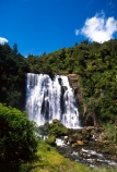 brook;calm;calmness;fern;forest;green;native-bush;natural;nature;stream;water;water-falls;waterfall;waterfalls