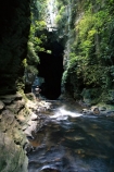 bush;cavern;caverns;caves;creek;creeks;flora;native;natural;person;rocks;rocky;streams;tourist;tunnel;undergrowth;water