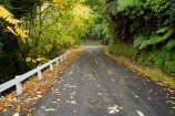 Autumn-Colour;bend;bends;centre-line;centre-lines;centre_line;centre_lines;centreline;centrelines;corner;corners;driving;King-Country;Mokauiti;N.I.;N.Z.;New-Zealand;NI;North-Island;NZ;open-road;open-roads;Ramaroa-Road;road;road-trip;roads;transport;transportation;travel;traveling;travelling;trip