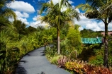 botanic-garden;botanic-gardens;botanical-garden;botanical-gardens;bridge;bridges;Fantasy-Collection;Fantasy-Garden-Collection;foot-bridge;foot-bridges;footbridge;footbridges;garden;gardens;Hamilton-Garden;Hamilton-Gardens;N.Z.;New-Zealand;North-Is;North-Island;Nth-Is;NZ;pedestrian-bridge;pedestrian-bridges;public-garden;public-gardens;Tropical-Garden;Waikato