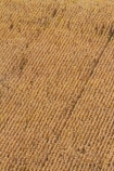aerial;aerial-image;aerial-images;aerial-photo;aerial-photograph;aerial-photographs;aerial-photography;aerial-photos;aerial-view;aerial-views;aerials;agricultural;agriculture;country;countryside;crop;crops;farm;farming;farmland;farms;field;fields;Hamilton;horticulture;maize;meadow;meadows;N.Z.;New-Zealand;North-Is;North-Island;Nth-Is;NZ;paddock;paddocks;pasture;pastures;Rukuhia;rural;Waikato