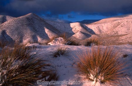 cold;country;countryside;dusk;freeze;freezing;grassland;grasslands;high;highcountry;mountain;mountains;snow;sunset;tussock;tussocks;winter
