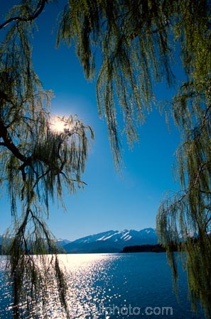 tree;hanging-tree;peaceful;calm;lake;reflection;tranquil;tranquility;willow;willow-tree;willow-trees;frame