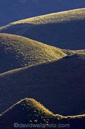 Central-Otago;high-country;highcountry;highland;highlands;Lindis-Pass;N.Z.;New-Zealand;North-Otago;NZ;Otago;ridge;ridgeline;ridgelines;ridges;SI;snow-tussock;snow-tussocks;South-Island;tussock;tussock-land;tussock-lands;tussockland;tussocklands;tussocks;uplands