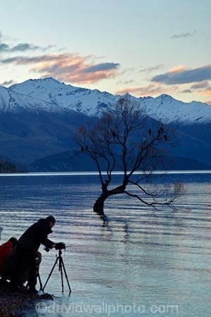 calm;Central-Otago;lake;Lake-Wanaka;lakes;N.Z.;New-Zealand;NZ;Otago;people;person;photographer;photographers;photography;placid;quiet;reflected;reflection;reflections;serene;SI;smooth;South-Island;Sth-Is;still;that-tree;that-wanaka-tree;thattree;thatwanakatree;tourism;tourist;tourists;tranquil;tree;tree-in-lake;trees;Wanaka;Wanaka-Tree;water;willow;willow-tree;willow-trees;willows