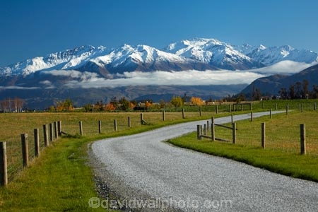 agricultural;agriculture;Buchanan-Mountains;Buchanan-Peaks;Central-Otago;country;countryside;crop;crops;farm;farming;farmland;farms;field;fields;horticulture;meadow;meadows;N.Z.;New-Zealand;NZ;Otago;paddock;paddocks;pasture;pastures;rural;SI;South-Island;Sth-Is;Wanaka