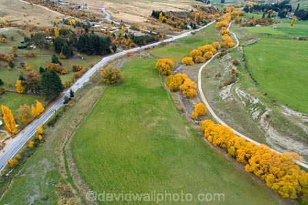 aerial;Aerial-drone;Aerial-drones;aerial-image;aerial-images;aerial-photo;aerial-photograph;aerial-photographs;aerial-photography;aerial-photos;aerial-view;aerial-views;aerials;agricultural;agriculture;autuminal;autumn;autumn-colour;autumn-colours;autumnal;Cadrona;Cardrona;Cardrona-River;Cardrona-Valley;Central-Otago;color;colors;colour;colours;country;countryside;deciduous;Drone;Drones;fall;farm;farming;farmland;farms;field;fields;gold;golden;leaf;leaves;meadow;meadows;N.Z.;New-Zealand;NZ;Otago;paddock;paddocks;pasture;pastures;Quadcopter-aerial;Quadcopters-aerials;rural;season;seasonal;seasons;SI;South-Island;Sth-Is;tree;trees;U.A.V.-aerial;UAV-aerials;Wanaka;yellow