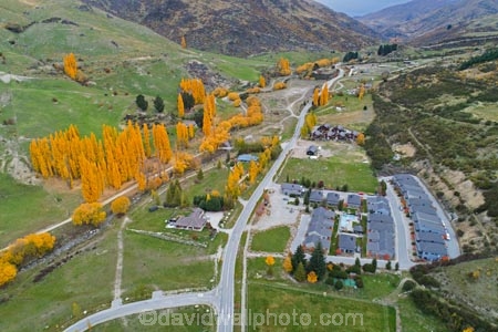 accommodation;aerial;Aerial-drone;Aerial-drones;aerial-image;aerial-images;aerial-photo;aerial-photograph;aerial-photographs;aerial-photography;aerial-photos;aerial-view;aerial-views;aerials;apartment;apartments;autuminal;autumn;autumn-colour;autumn-colours;autumnal;Cadrona;Cardrona;Cardrona-River;Cardrona-Valley;Central-Otago;color;colors;colour;colours;cottages;deciduous;Drone;Drones;fall;gold;golden;leaf;leaves;N.Z.;New-Zealand;NZ;Otago;poplar;poplar-tree;poplar-trees;poplars;Quadcopter-aerial;Quadcopters-aerials;season;seasonal;seasons;SI;South-Island;Sth-Is;tree;trees;U.A.V.-aerial;UAV-aerials;village;Wanaka;yellow