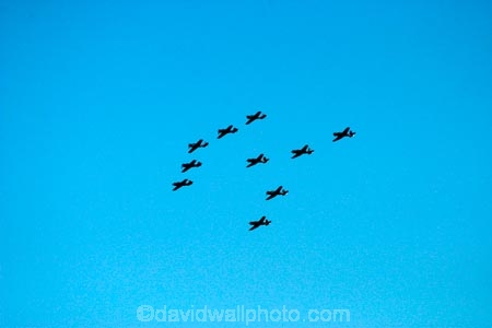 aeroplane;aeroplanes;air-craft;air-display;air-displays;air-force;air-show;air-shows;aircraft;airforce;airplane;airplanes;airshow;airshows;aviating;aviation;aviator;aviators;china;chinese;combat;demonstration;display;display-team;displays;fighter;fighter-plane;fighter-planes;fighters;flight;flights;fly;flyer;flyers;flying;formation;formations;harvard;harvards;military;nanchang;nanchangs;Nangchang-CJ6s;navy;new-zealand;nz;pilot;pilots;plane;planes;rnzaf;sky;snj;snjs;south-island;t6-texabs;t6-texan;trainer;trainers;us-navy;usaf;wanaka;war;warbird;warbirds;warbirds-over-wanaka;wars;world-war-2;world-war-two;ww2;WWII