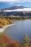 autuminal;autumn;autumn-colour;autumn-colours;autumnal;briar;briar-bush;briar-bushes;briars;Central-Otago;cloud;clouds;color;colors;colour;colours;deciduous;End-Peak;fall;Glendhu-Bay;Harris-Mountains;lake;Lake-Wanaka;lakes;leaf;leaves;mist;mists;misty;N.Z.;New-Zealand;NZ;Otago;rosehip;rosehip-bush;rosehip-bushes;rosehips;S.I.;season;seasonal;seasons;shoreline;shorelines;SI;South-Island;Southern-Lakes;Southern-Lakes-District;Southern-Lakes-Region;tree;trees;Wanaka;water
