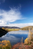 autuminal;autumn;autumn-colour;autumn-colours;autumnal;briar;briar-bush;briar-bushes;briars;calm;Central-Otago;color;colors;colour;colours;deciduous;fall;Glendhu-Bay;lake;Lake-Wanaka;lakes;leaf;leaves;N.Z.;New-Zealand;NZ;Otago;Paddock-Bay;placid;poplar;poplar-tree;poplar-trees;poplars;quiet;reflection;reflections;rosehip;rosehip-bush;rosehip-bushes;rosehips;S.I.;season;seasonal;seasons;serene;SI;smooth;South-Island;Southern-Lakes;Southern-Lakes-District;Southern-Lakes-Region;still;tranquil;tree;trees;Wanaka;water;willow;willow-tree;willow-trees;willows