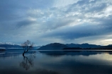 calm;Central-Otago;cloud;clouds;cloudy;lake;Lake-Wanaka;lakes;N.Z.;New-Zealand;NZ;Otago;placid;quiet;reflected;reflection;reflections;serene;SI;smooth;South-Island;Sth-Is;still;that-tree;that-wanaka-tree;thattree;thatwanakatree;tranquil;tree;tree-in-lake;trees;Wanaka;Wanaka-Tree;water;willow;willow-tree;willow-trees;willows