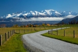 agricultural;agriculture;Buchanan-Mountains;Buchanan-Peaks;Central-Otago;country;countryside;crop;crops;farm;farming;farmland;farms;field;fields;horticulture;meadow;meadows;N.Z.;New-Zealand;NZ;Otago;paddock;paddocks;pasture;pastures;rural;SI;South-Island;Sth-Is;Wanaka