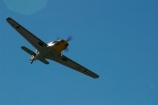 1939;1940;1941;1942;1943;1944;1945;aeroplane;aeroplanes;air-craft;air-display;air-displays;air-force;air-show;air-shows;aircraft;airforce;airplane;airplanes;airshow;airshows;aviating;aviation;aviator;aviators;Bf-108;Bf108;combat;demonstration;display;displays;fighter;fighter-bomber;fighter-bombers;fighter-plane;fighter-planes;fighters;flight;flights;fly;flyer;flyers;flying;german;germany;luftwaffe;Me-108;Me-108s;Messerschmitt;Messerschmitt-Me108;Messerschmitt-Me108s;Messerschmitts;military;new-zealand;nz;pilot;pilots;plane;planes;propellor;sky;south-island;taifun;trainer;wanaka;war;warbird;warbirds;warbirds-over-wanaka;wars;world-war-2;world-war-two;ww2;WWII