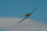 1939;1940;1941;1942;1943;1944;1945;aeroplane;aeroplanes;air-craft;air-display;air-displays;air-force;air-show;air-shows;aircraft;airforce;airplane;airplanes;airshow;airshows;aviating;aviation;aviator;aviators;Bf-108;Bf108;combat;demonstration;display;displays;fighter;fighter-bomber;fighter-bombers;fighter-plane;fighter-planes;fighters;flight;flights;fly;flyer;flyers;flying;german;germany;luftwaffe;Me-108;Me-108s;Messerschmitt;Messerschmitt-Me108;Messerschmitt-Me108s;Messerschmitts;military;new-zealand;nz;pilot;pilots;plane;planes;propellor;sky;south-island;taifun;trainer;wanaka;war;warbird;warbirds;warbirds-over-wanaka;wars;world-war-2;world-war-two;ww2;WWII