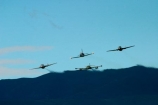 1943;1951;1952;318e;a37;aero-vodochody;aerobatic;aerobatic-display;aerobatics;aeroplane;aeroplanes;air-craft;air-display;air-displays;air-force;air-show;air-shows;aircraft;airforce;airplane;airplanes;airshow;airshows;albatroses;Albatross;albatrosses;attack;aviating;aviation;aviator;aviators;british;cesna;cesnas;cessna;Cessna-A37-Dragonfly;Cessna-A37-Dragonflys;cessnas;combat;Czechoslovakian;Czechoslovakian-L_39-Albatros;de-Havilland;de-Havilland-vampire;de-Havilland-vampires;de-Havillands;dehavilland;deHavillands;demonstration;dh100;display;displays;dragonfly;dragonflys;fighter;fighter-plane;fighter-planes;fighters;flight;flights;fly;flyer;flyers;flying;jet;jets;military;new-zealand;nz;pilot;pilots;plane;planes;r.a.f.;raf;rnzaf;sky;south-island;strike;traier;trainer;twin-boom;twin-booms;twin-tail;two-tails;us-air-force;usaf;vampire;vampires;vietnam;vietnam-war;wanaka;war;warbird;warbirds;warbirds-over-wanaka;wars