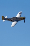 aeroplane;aeroplanes;air-craft;air-display;air-displays;air-force;air-show;air-shows;aircraft;airforce;airplane;airplanes;airshow;airshows;American-Fighter-Plane;American-Fighter-Planes;aviating;aviation;aviator;aviators;combat;demonstration;display;displays;fighter;fighter-plane;fighter-planes;fighters;flight;flights;fly;flyer;flyers;flying;historic;historical;military;mustang;mustangs;navy;new-zealand;north-american;nz;Old;p_51;P_51-Mustang;P_51-Mustangs;P_51d;p_51s;p51;p51s;pacific;pilot;pilots;plane;planes;propellor;rnzaf;sky;south-island;us-navy;usaf;vintage;wanaka;war;war-in-the-pacific;warbird;warbirds;warbirds-over-wanaka;wars;world-war-2;world-war-two;ww2;WWII