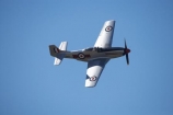 aeroplane;aeroplanes;air-craft;air-display;air-displays;air-force;air-show;air-shows;aircraft;airforce;airplane;airplanes;airshow;airshows;American-Fighter-Plane;American-Fighter-Planes;aviating;aviation;aviator;aviators;combat;demonstration;display;displays;fighter;fighter-plane;fighter-planes;fighters;flight;flights;fly;flyer;flyers;flying;historic;historical;military;mustang;mustangs;navy;new-zealand;north-american;nz;Old;p_51;P_51-Mustang;P_51-Mustangs;P_51d;p_51s;p51;p51s;pacific;pilot;pilots;plane;planes;propellor;rnzaf;sky;south-island;us-navy;usaf;vintage;wanaka;war;war-in-the-pacific;warbird;warbirds;warbirds-over-wanaka;wars;world-war-2;world-war-two;ww2;WWII
