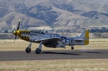 aeroplane;aeroplanes;air-craft;air-display;air-displays;air-force;air-show;air-shows;aircraft;airforce;airplane;airplanes;airshow;airshows;American-Fighter-Plane;American-Fighter-Planes;aviating;aviation;aviator;aviators;combat;demonstration;display;displays;fighter;fighter-plane;fighter-planes;fighters;flight;flights;fly;flyer;flyers;flying;historic;historical;military;mustang;mustangs;navy;new-zealand;north-american;nz;Old;p_51;P_51-Mustang;P_51-Mustangs;P_51d;p_51s;p51;p51s;pacific;pilot;pilots;plane;planes;propellor;rnzaf;sky;south-island;us-navy;usaf;vintage;wanaka;war;war-in-the-pacific;warbird;warbirds;warbirds-over-wanaka;wars;world-war-2;world-war-two;ww2;WWII