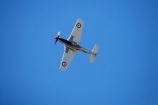 aeroplane;aeroplanes;air-craft;air-display;air-displays;air-force;air-show;air-shows;aircraft;airforce;airplane;airplanes;airshow;airshows;American-Fighter-Plane;American-Fighter-Planes;aviating;aviation;aviator;aviators;combat;demonstration;display;displays;fighter;fighter-plane;fighter-planes;fighters;flight;flights;fly;flyer;flyers;flying;historic;historical;military;mustang;mustangs;navy;new-zealand;north-american;nz;Old;p_51;P_51-Mustang;P_51-Mustangs;P_51d;p_51s;p51;p51s;pacific;pilot;pilots;plane;planes;propellor;rnzaf;sky;south-island;us-navy;usaf;vintage;wanaka;war;war-in-the-pacific;warbird;warbirds;warbirds-over-wanaka;wars;world-war-2;world-war-two;ww2;WWII