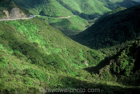 roads;bush;native-bush;forest;forests;forestry;highway;state-highway-two;hill;switchback;transport;travel;valley;valleys;gully;gullies;gorge