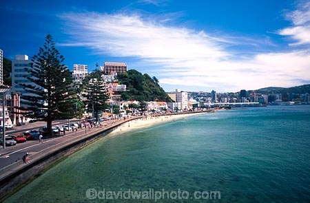apartments;beach;capital;harbor;harbors;harbour;harbours;shoreline;waterfront