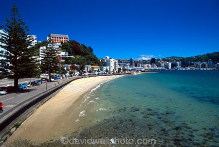 harbor;harbour;harbours;harbors;waterfront;shoreline;shore;coast;coastal;caostline;beach;beaches;apartments;capital;oriental-bay;summer